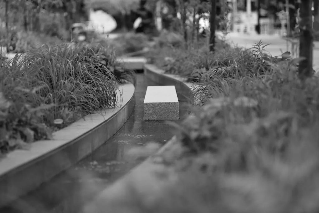 LEICA APO-SUMMICRON-M 90mm F2 E55 SN. 3875545