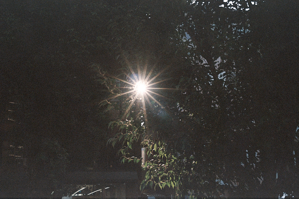 HASSELBLAD XPAN + 45mm F4 SN. 11SS20416